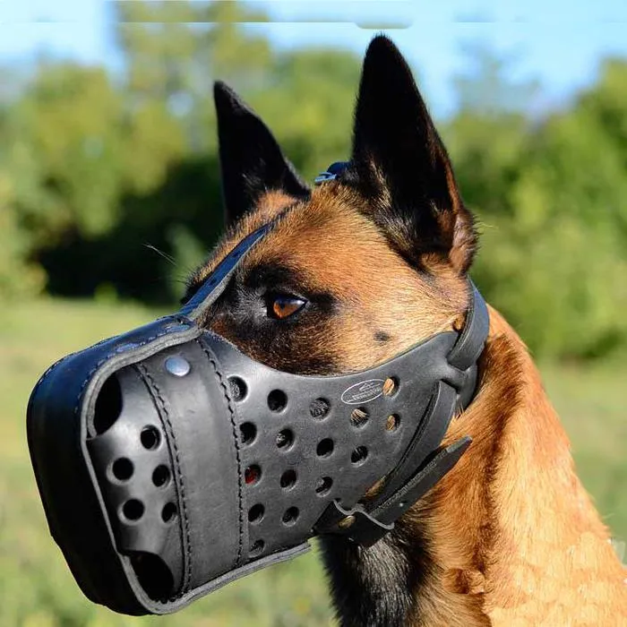 Furry Friend Premium Leather Dog Muzzle- Xtra Large