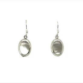 P258 Oval Stone Hook Earrings