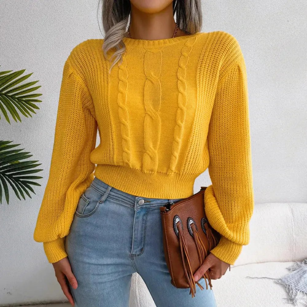 Trendy Lantern Sleeves Stylish Sweater